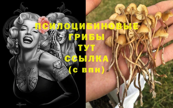хмурый Волосово