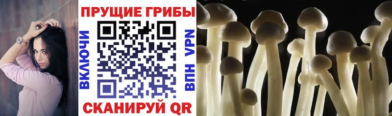 даркнет сайт  Кострома  Галлюциногенные грибы прущие грибы 